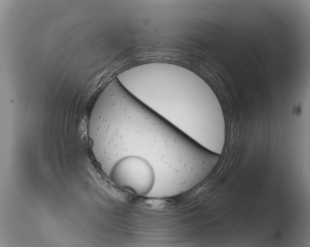 X0000114690478200910211058