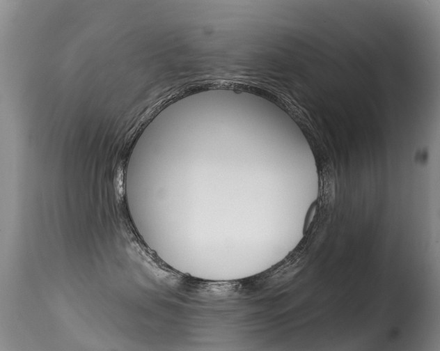 X0000114690479200910211058