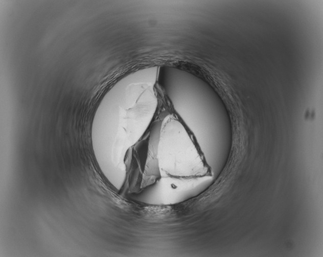 X0000114690480200910211058