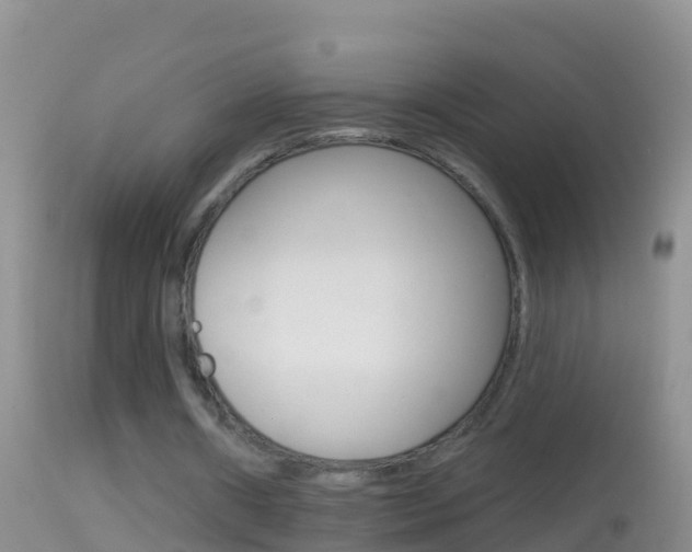 X0000114690482200910211057