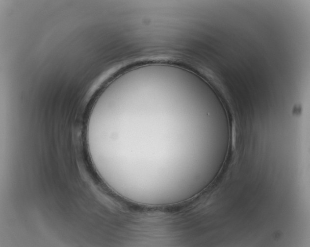 X0000114690483200910211057