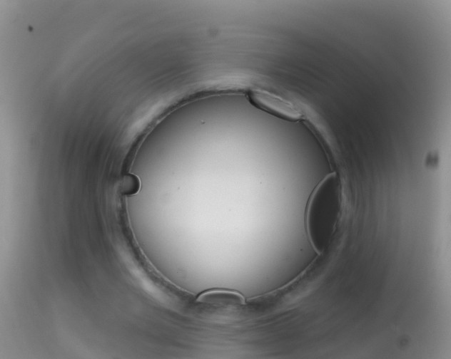 X0000114690485200910211057