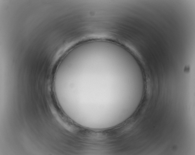 X0000114690486200910211057