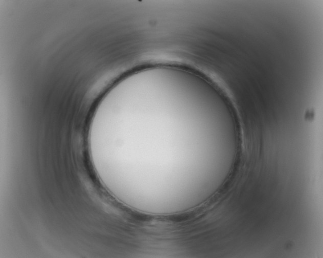 X0000114690487200910211057