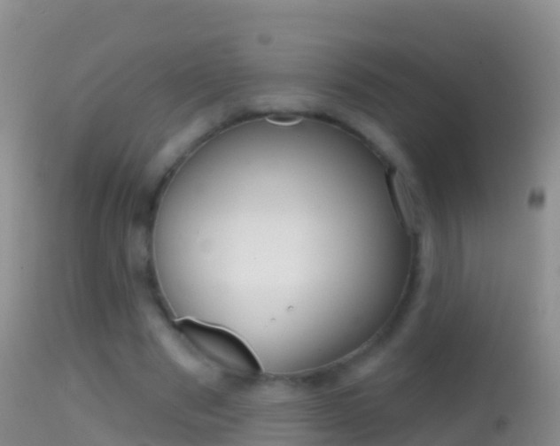 X0000114690489200910211057
