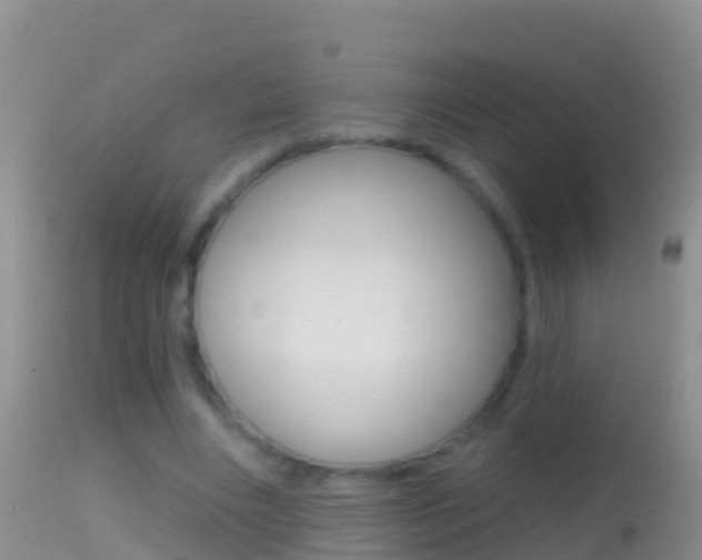X0000114690490200910211057