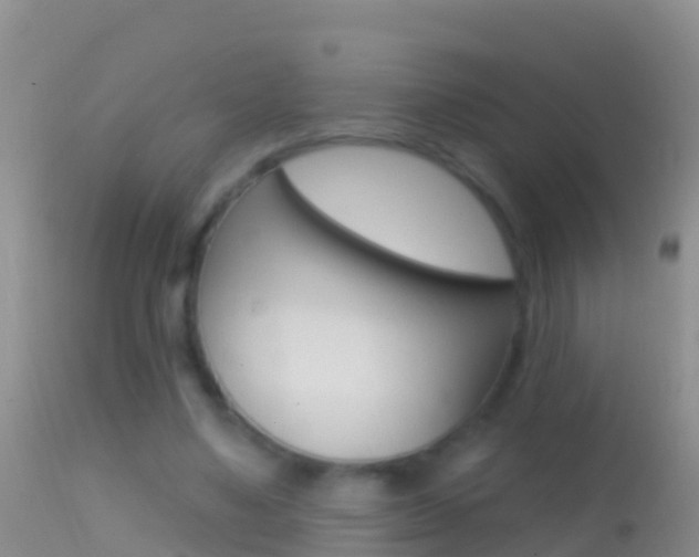 X0000114690491200910211057