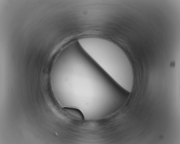 X0000114690492200910211057