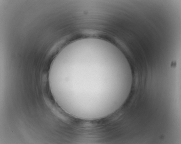 X0000114690494200910211057