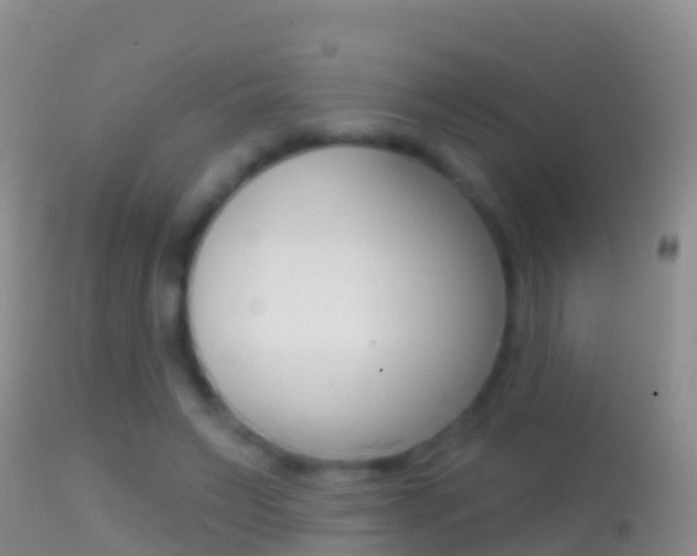 X0000114690495200910211057