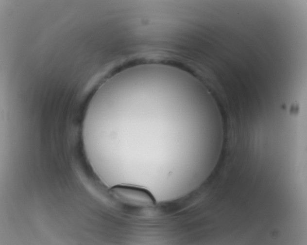 X0000114690496200910211057