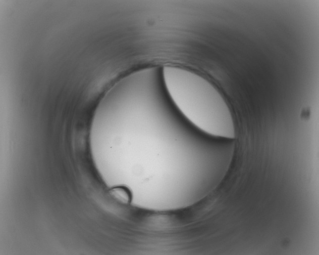 X0000114690499200910211057