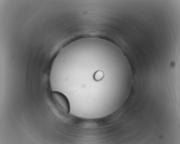 X0000114690500200910211057
