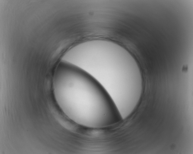 X0000114690501200910211057