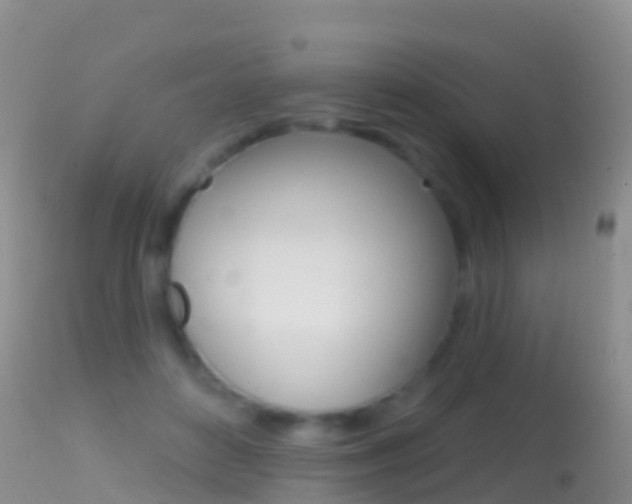 X0000114690504200910211057
