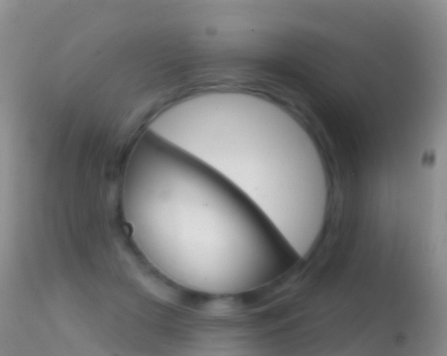 X0000114690505200910211057