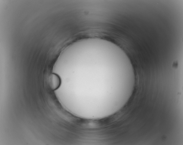 X0000114690506200910211057