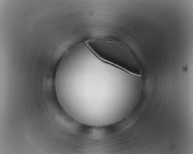 X0000114690508200910211057