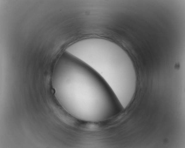 X0000114690509200910211057