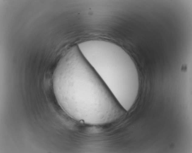 X0000114690511200910211057