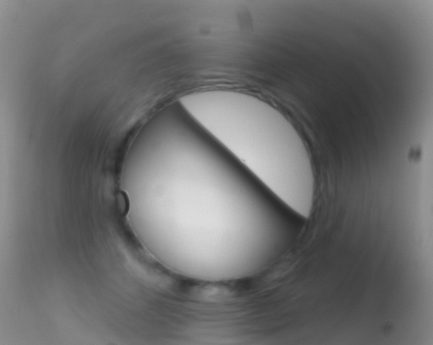 X0000114690512200910211057