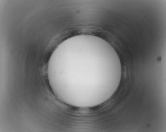 X0000114690514200910211057