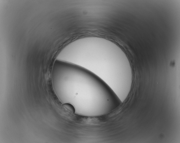 X0000114690517200910211057