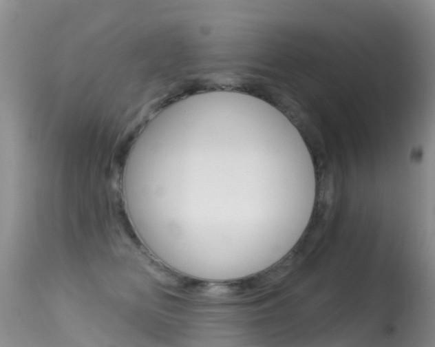 X0000114690518200910211057