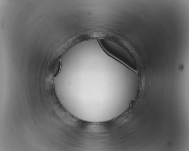 X0000114690521200910211057