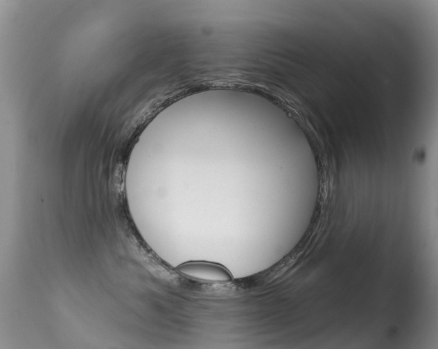 X0000114690525200910211057