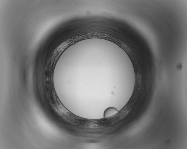 X0000114690526200910211057