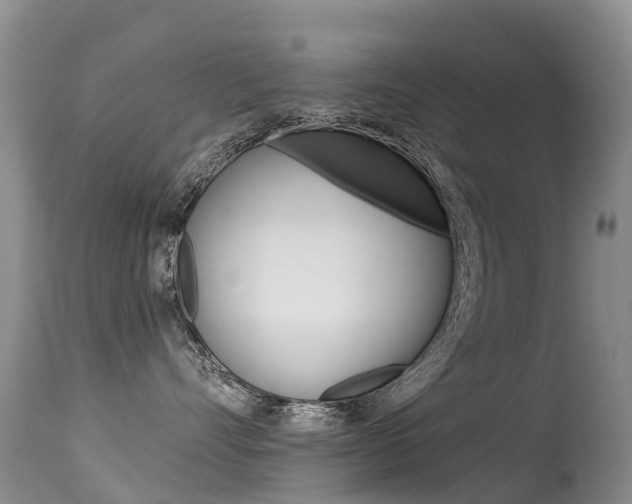 X0000114690528200910211057