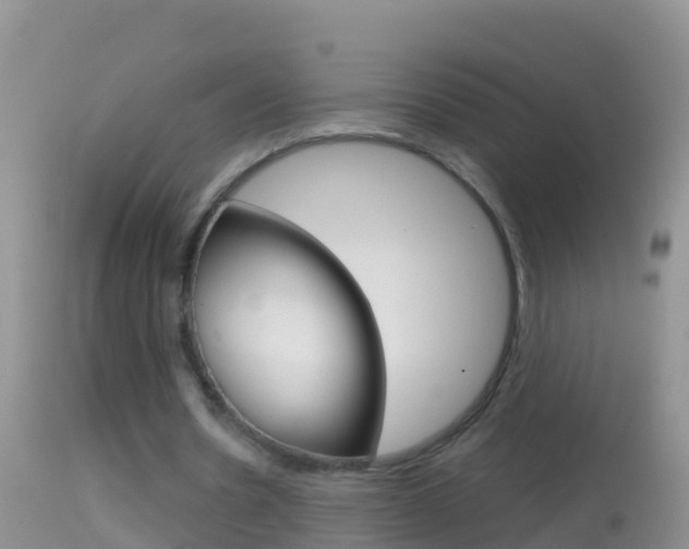 X0000114690530200910211056