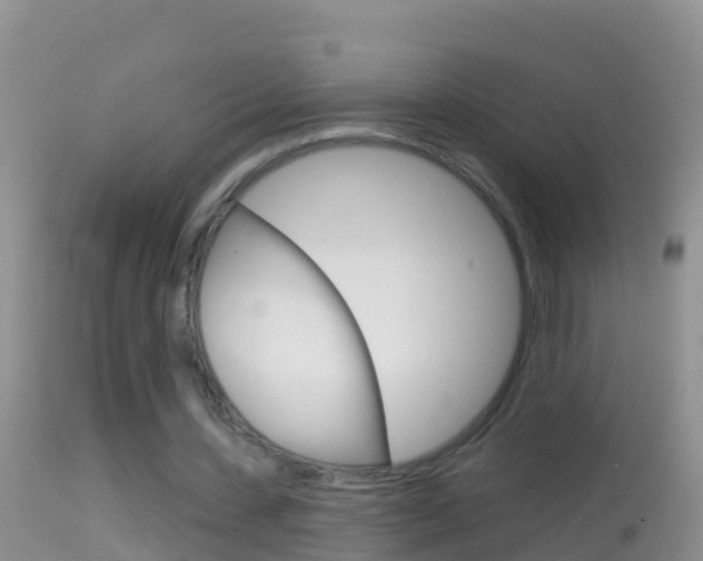 X0000114690531200910211056