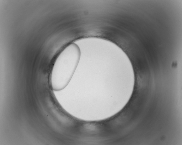 X0000114690534200910211056