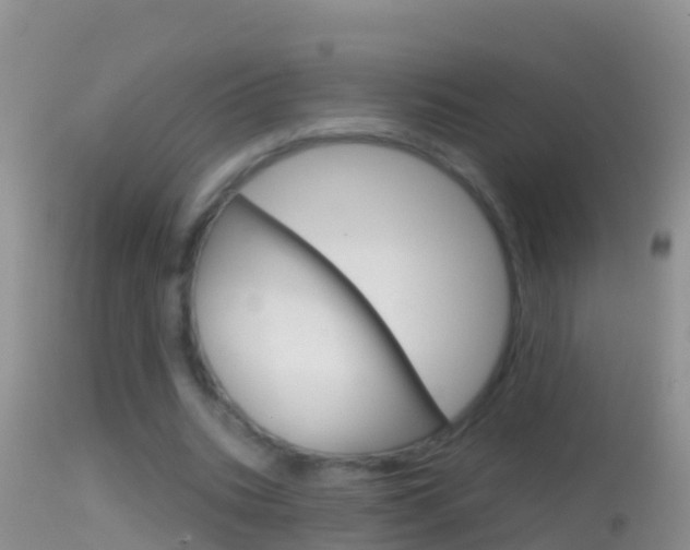 X0000114690535200910211056