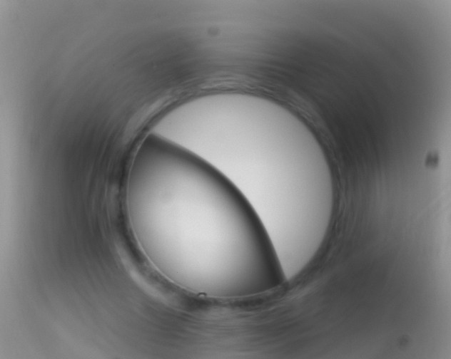 X0000114690538200910211056