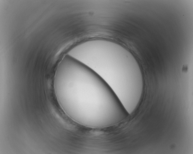 X0000114690539200910211056
