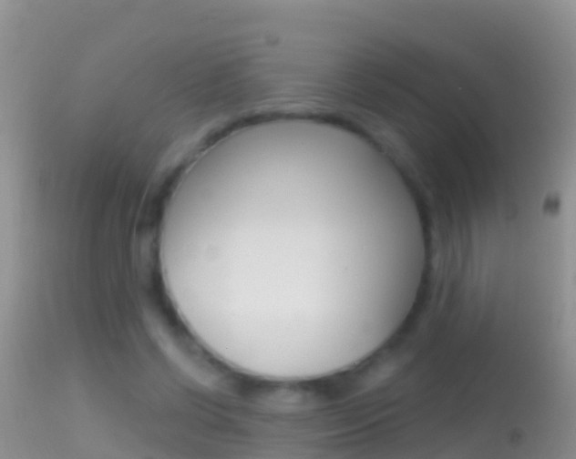 X0000114690542200910211056