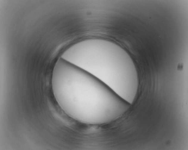 X0000114690543200910211056