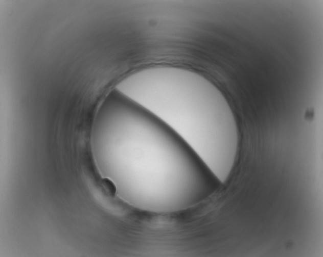X0000114690546200910211056