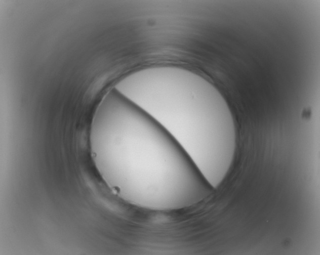 X0000114690547200910211056