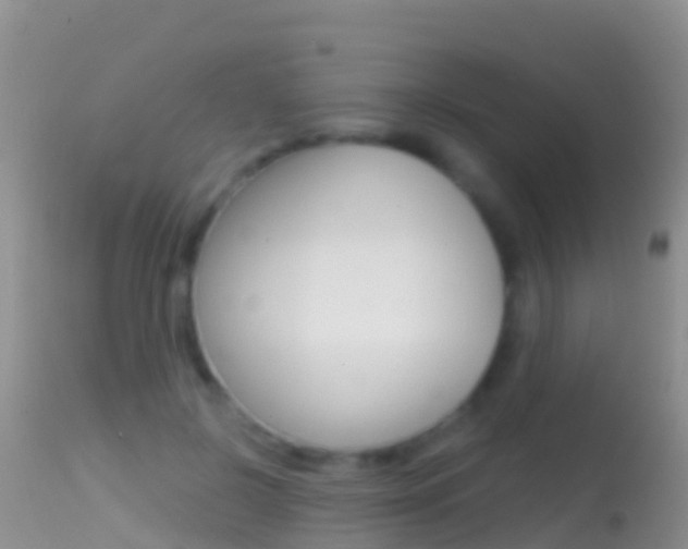 X0000114690550200910211056