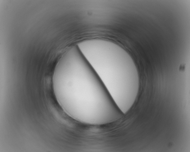 X0000114690551200910211056