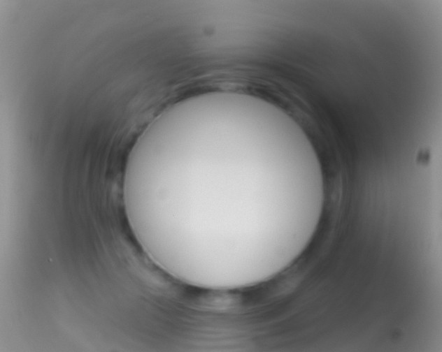 X0000114690553200910211056