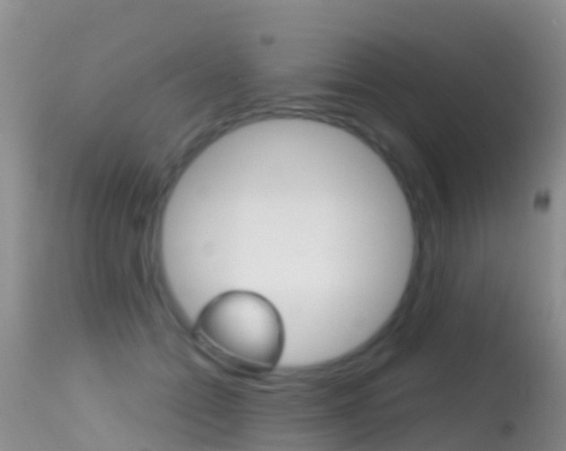 X0000114690558200910211056