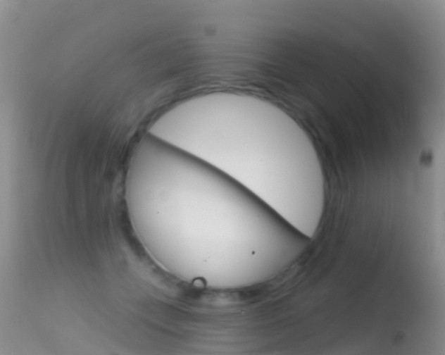 X0000114690559200910211056
