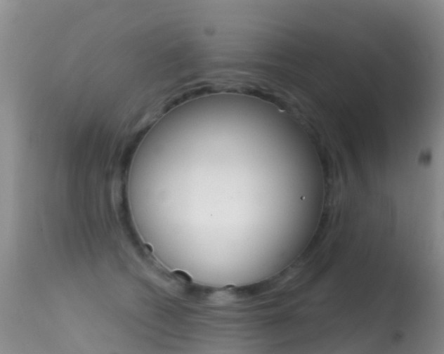 X0000114690562200910211056