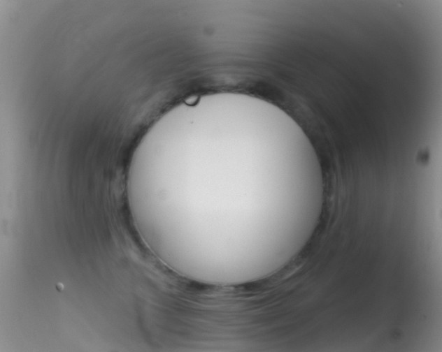 X0000114690563200910211056