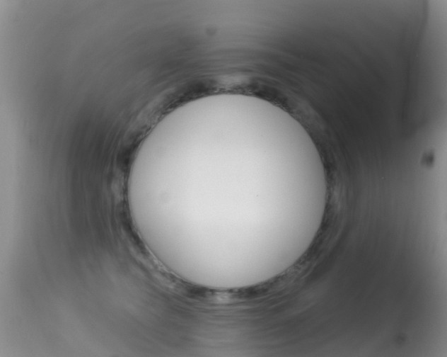X0000114690565200910211057